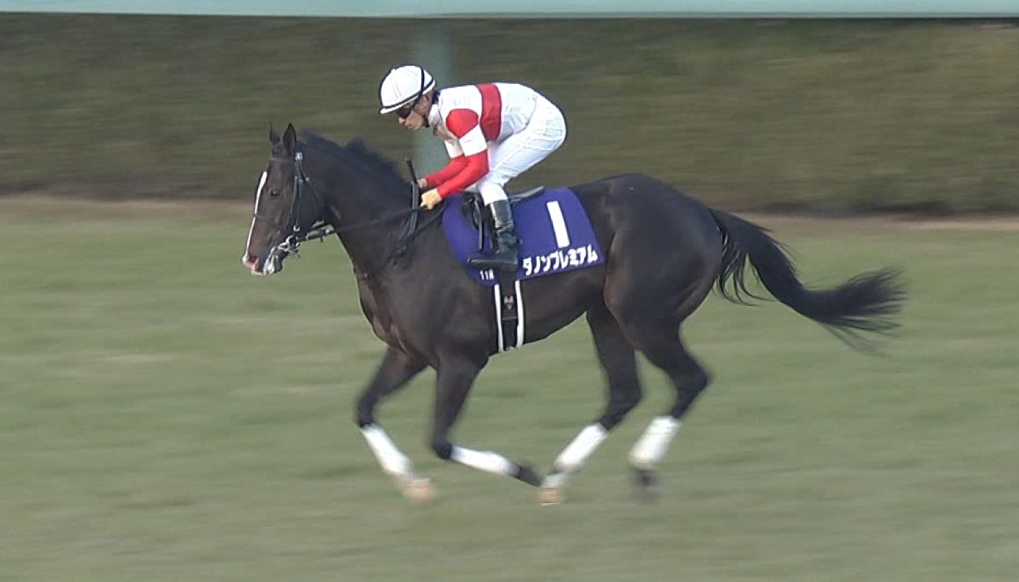 【競馬/弥生賞】ダノンプレミアム川田「絶対的な能力の違いで勝てる」