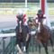【競馬】去年の朝日杯のレベルの低さは異常