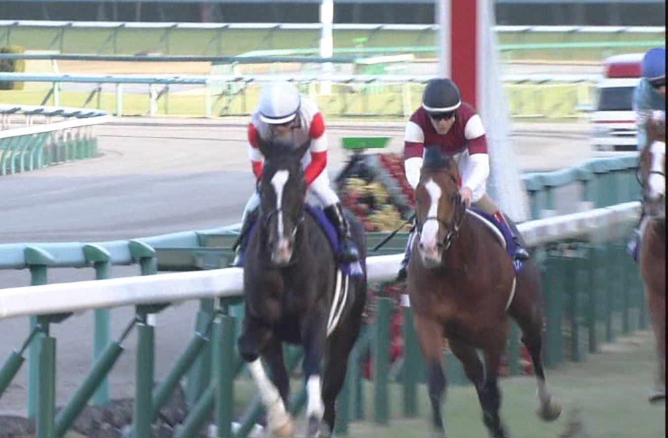 【競馬】マイルCS枠順確定！ダノンキングリー1枠1番、ダノンプレミアム7枠14番、インディチャンプ3枠5番