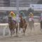 【競馬/東京大賞典】番手の福永が有馬と全く同じで強い逃げ馬を楽逃げさせた件