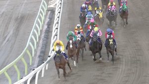 【競馬/東京大賞典】なぜ誰もコパノリッキーを被せないのか