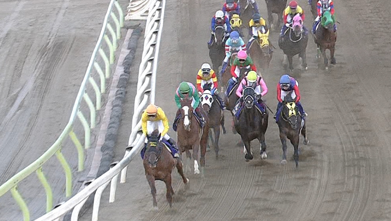 【競馬/東京大賞典】なぜ誰もコパノリッキーを被せないのか