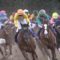 【競馬】ダート路線の種牡馬がイマイチでお先真っ暗で心配
