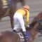 【競馬/東京大賞典】コパノリッキー、引退レースでGⅠ１１勝の日本新記録を達成