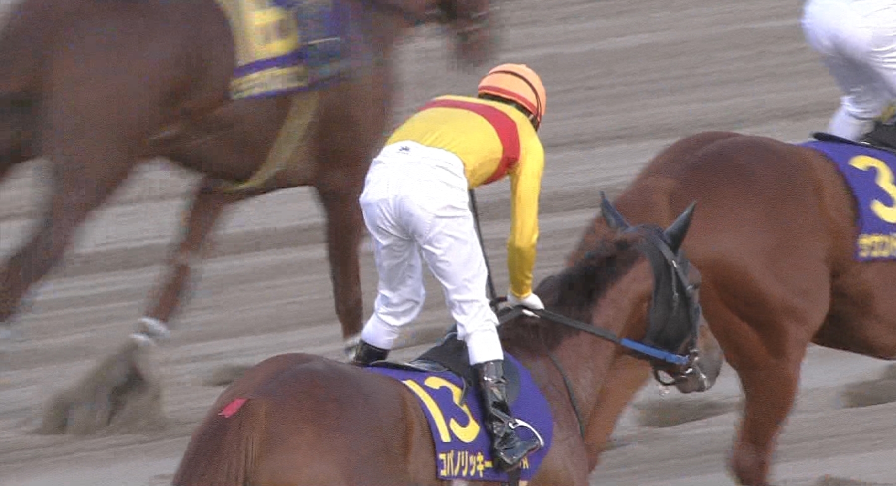 【競馬】コパノリッキー＆サウンドトゥルー引退後のダート界