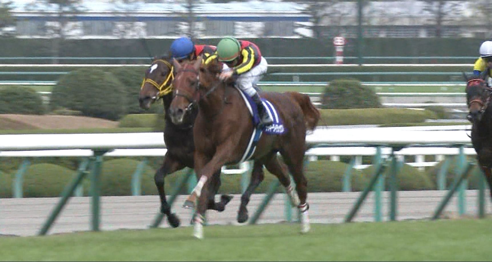 【競馬】桜花賞1週前‥ラッキーライラックさん、やっぱり怪物