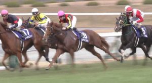 【競馬】ダノンスマッシュ死亡タイムフライヤー死亡ロックディスタウン死亡