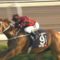 【競馬/香港C】グリチャがタイムワープ連呼→日本人気付く→オッズ劇下がり