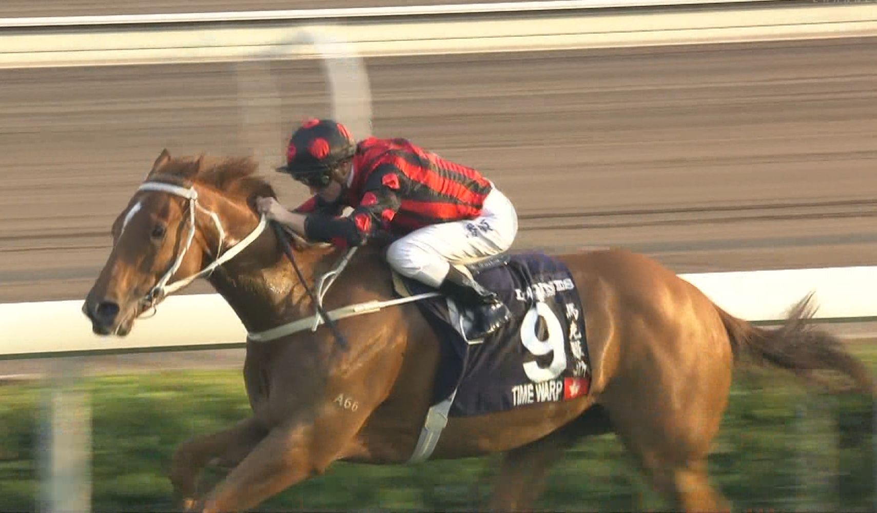 【競馬】香港競馬中止の危機wwwwwwww 【競馬】香港競馬中止の危機wwwwwwww