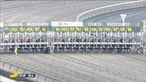 【競馬】[gif] 三津谷、ゲート内でバク中