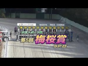 【競馬】地方名古屋の3歳怪物牝馬 7戦7勝サムライドライブはオグリキャップになれるのか？