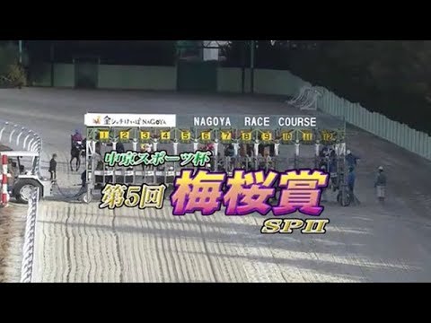【競馬】地方名古屋の3歳怪物牝馬 7戦7勝サムライドライブはオグリキャップになれるのか？