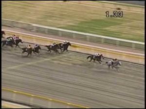 【競馬】フラムドパシオンとかカジノドライヴのワクワク感は凄かったよな