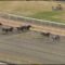 【競馬】フラムドパシオンとかカジノドライヴのワクワク感は凄かったよな