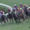 【競馬/マイルCS】ブラックムーンって何で金杯勝てたの？