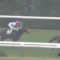【競馬】ロードカナロア種付け料1500万円　←さすがにちょっと上げ過ぎだよな