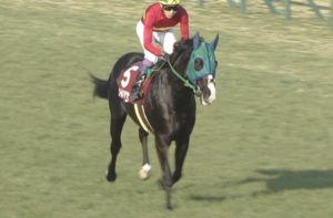 【競馬/AJCC】ゴールドアクターの武豊のコメント「深刻かも」wwwww 【競馬/AJCC】ゴールドアクターの武豊のコメント「深刻かも」wwwww