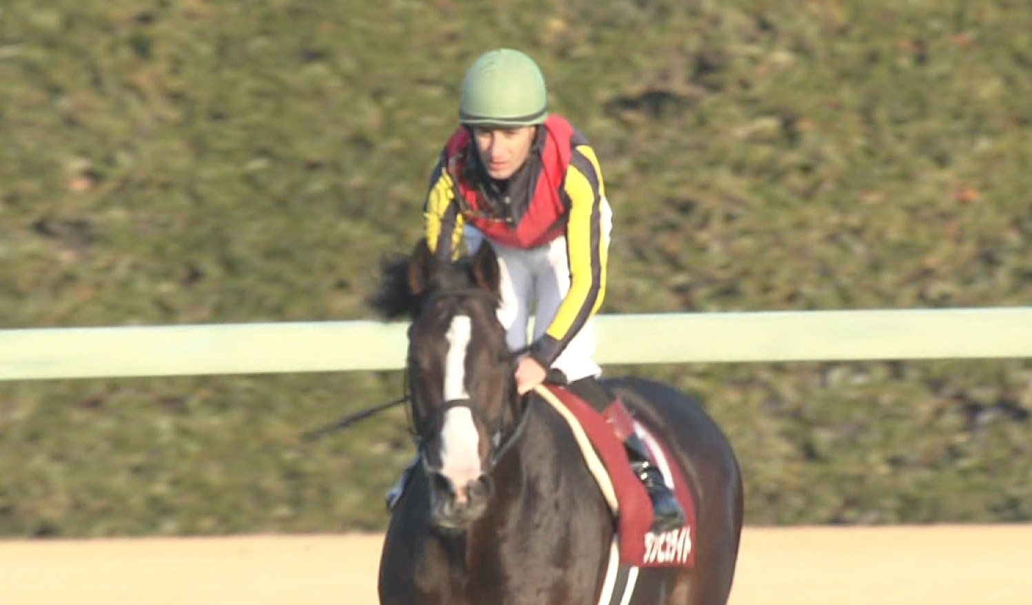 【競馬】ミルコデムーロ、柴山にブチギレwwwwwwwww