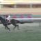 【競馬】松若ショック！浜中がダンビュライトを強奪し大阪杯