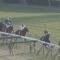 【競馬】前残りのAJCC・・デムーロ以外のジョッキーって全員バカなの？