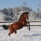 【競馬板】あしたあさって大雪だけどお前ら仕事から帰る方法どうすんの