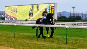 【競馬】京都競馬場に最後の勇姿 キタサンブラック引退式がすごい人