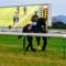 【競馬】京都競馬場に最後の勇姿 キタサンブラック引退式がすごい人