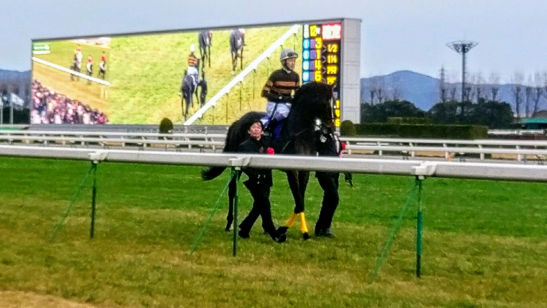 【競馬】京都競馬場に最後の勇姿 キタサンブラック引退式がすごい人