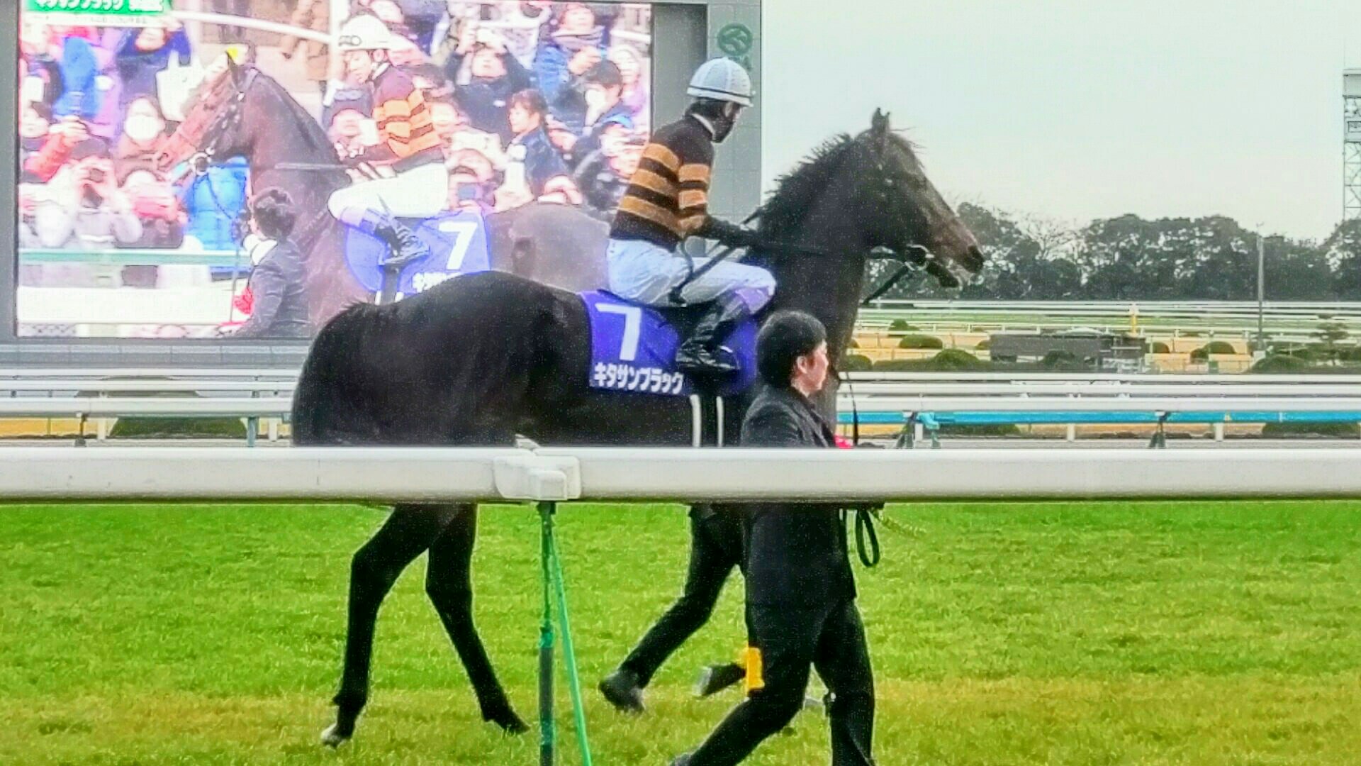 【競馬】京都競馬場に最後の勇姿 キタサンブラック引退式がすごい人