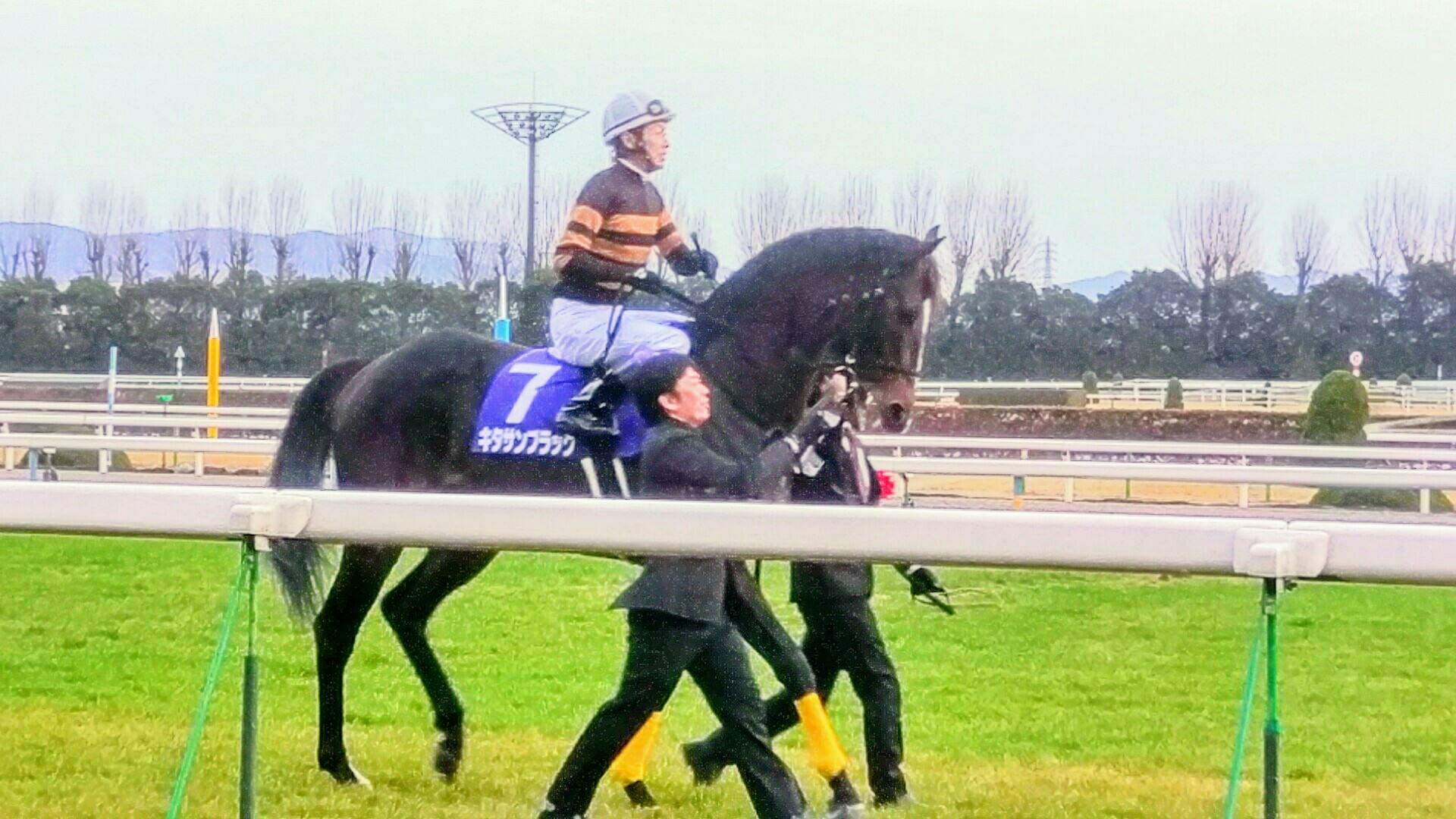 【競馬】京都競馬場に最後の勇姿 キタサンブラック引退式がすごい人
