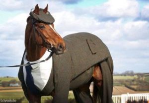 【競馬】帰国したモーリスの防寒着姿がかわいいと話題に