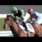 【競馬板】DMM、アダルト事業から撤退か。球団保有に向け準備。