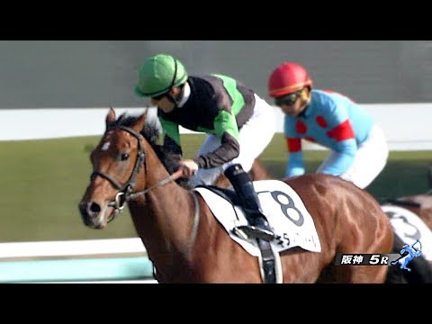 【競馬板】DMM、アダルト事業から撤退か。球団保有に向け準備。