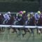 【競馬/フェアリーS】プリモシーン強すぎ
