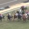 【競馬/シルクロードS】アレスバローズ＆デムーロ、ずーーーーっと前が壁！！！！！！！