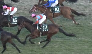 【競馬/函館記念】カデナ11着、本日も順調に最弱弥生賞馬へのキャリアを重ねる