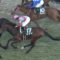 【競馬/函館記念】カデナ11着、本日も順調に最弱弥生賞馬へのキャリアを重ねる