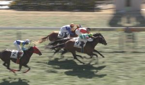 【競馬】東京4Rでルメールまた斜行