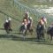 【競馬】福永祐一また安田厩舎期待のカナロア産駒の足を引っ張る
