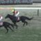 【競馬】武豊さん、ゴールドアクターの敗因を語る