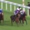 【競馬】サクソンウォリアー完全に早熟だった・・英インターナショナルSも出走も4着に終わり