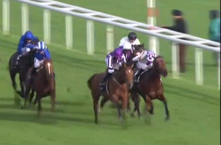 【競馬】ディープインパクト、16年欧州年度代表馬マインディングなど愛クールモアの欧州名牝５頭と交配ｗｗｗｗｗｗｗｗｗ