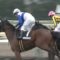 【競馬】ルメール「これでいいだろ！さあ子供たちを解放しろ！」