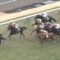 【競馬/シルクロードS】大外からカラクレナイが飛んでくるぅぅぅぅ