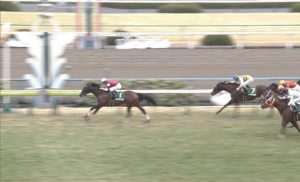 【競馬/シルクロードS】1着ファインニードル → アドマイヤムーン産駒ワンツースリーｗｗｗｗ