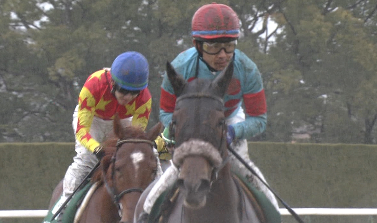 【競馬/福島記念】マルターズアポジー戸崎圭太さん暴走ｗｗｗｗｗｗｗｗｗｗｗｗｗｗｗｗｗｗｗｗ