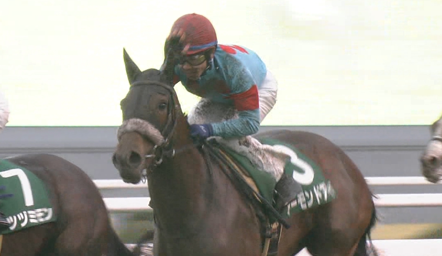 【競馬】シルクレーシングはシルク冠の方が良かったよな