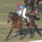 【競馬】中山金杯Vのセダブリランテス骨折