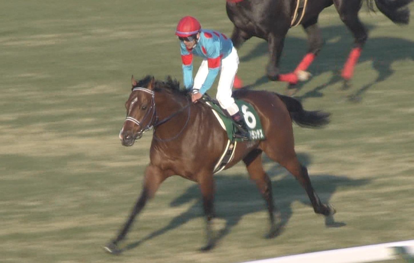 【競馬】中山金杯Vのセダブリランテス骨折