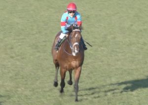 【競馬】戸崎がミルFやマイネルに売り込みしてるらしいww 【競馬】戸崎がミルFやマイネルに売り込みしてるらしいww